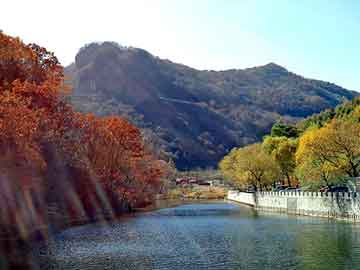 澳门天天免费精准大全，地参果